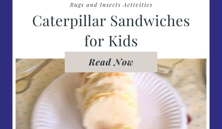 Caterpillar Sandwiches for Kids