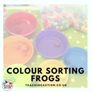 Colour Sorting Activity