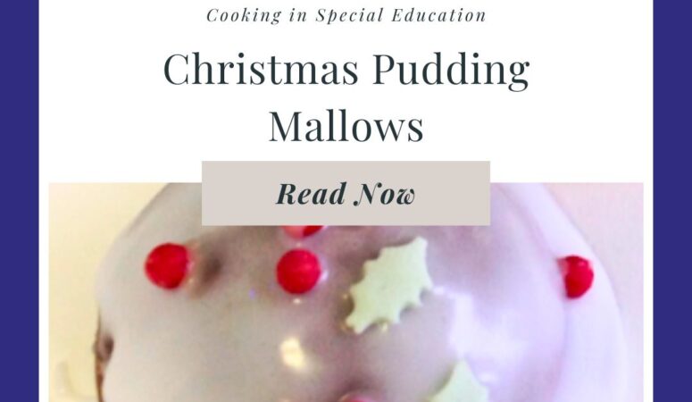 Christmas Pudding Chocolate Mallows for Kids