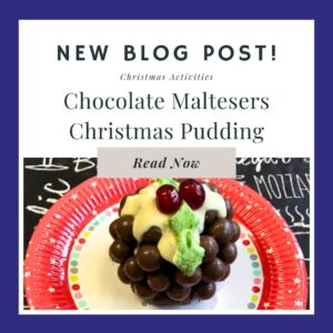 Christmas Chocolate Pudding