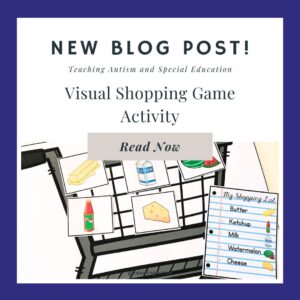 Shopping Activity for Speech Therapy