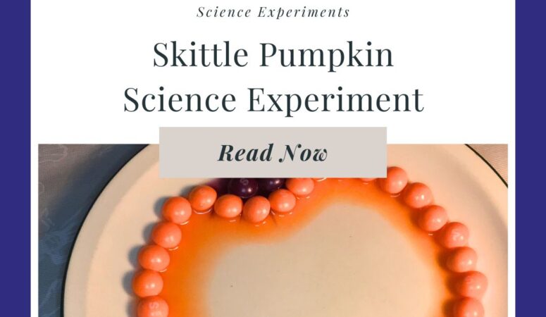 Skittle Pumpkin Experiment for Kids