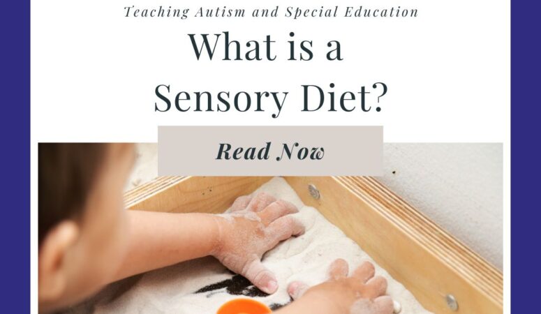 What is a Sensory Diet?