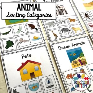 Sorting Animal Categories