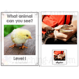 Animal Adapted Books for Special Education - Teaching Autism