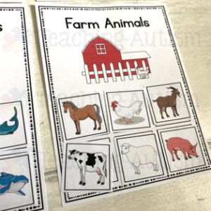 Sorting Animal Categories