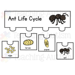 Animal Life Cycle Puzzles