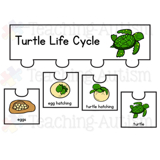 Animal Life Cycle Puzzles - Teaching Autism