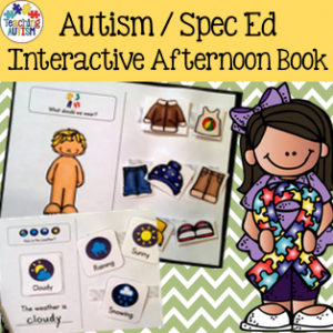 Autism Afternoon Adapted Work Book
