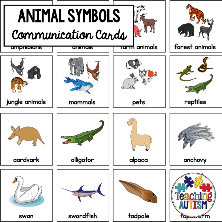 Animal Special Education Visual Symbols - Teaching Autism