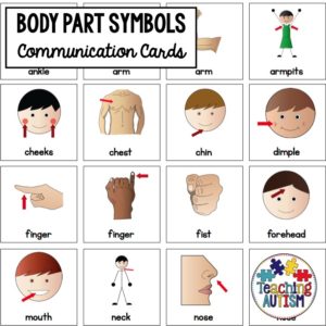 Body Part Symbol Cards