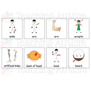 Body Part Symbol Cards