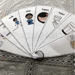 Visuals Bundle for Special Education and Autism Classrooms - Teaching ...