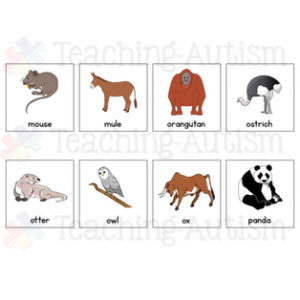 Animal Symbol Cards