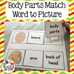 Body Parts Word to Picture Matching