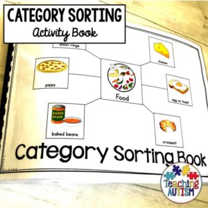 Category Sorting Book