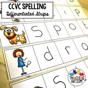 CCVC Spelling Cards
