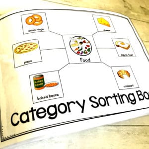 Category Sorting Book