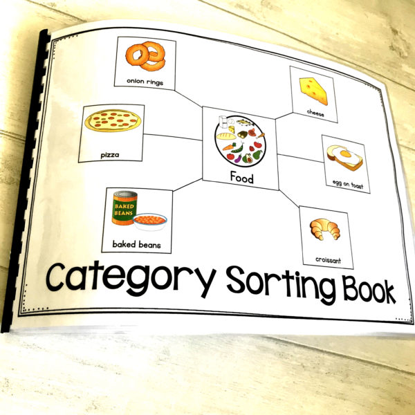 Category Sorting Book