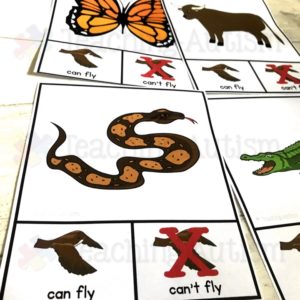 Can Fly v Cant Fly Sorting Task Cards