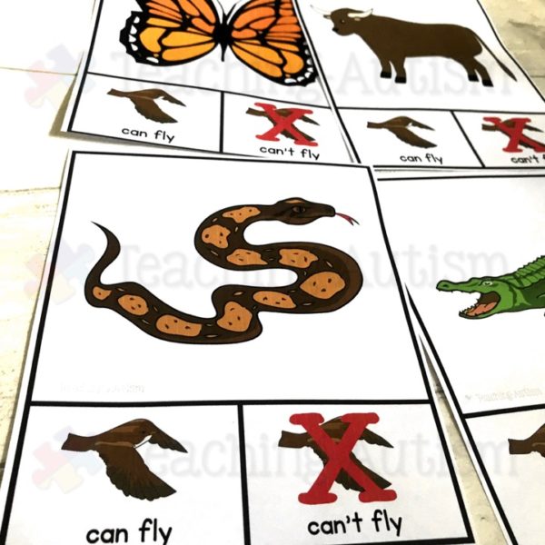 Can Fly v Cant Fly Sorting Task Cards