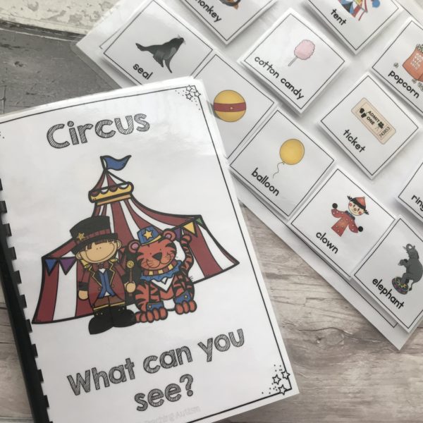 Circus Adapted Books, Sentence Building