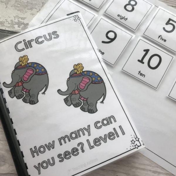 Circus Adapted Books, Sentence Building