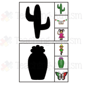 Cinco de Mayo Shadow Matching Task Cards