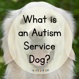 What is an Autism Service Dog?