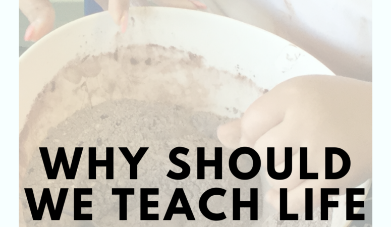 Why It’s Important to Teach Life Skills in Schools