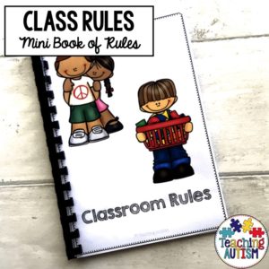 Classroom visual rules book