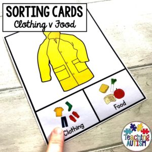 Clothing v Food Sorting Task Cards
