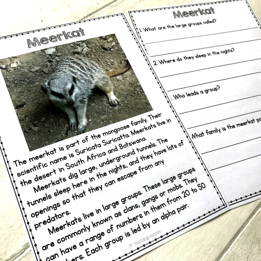 Animal Facts Reading Comprehension Worksheets - Teaching Autism