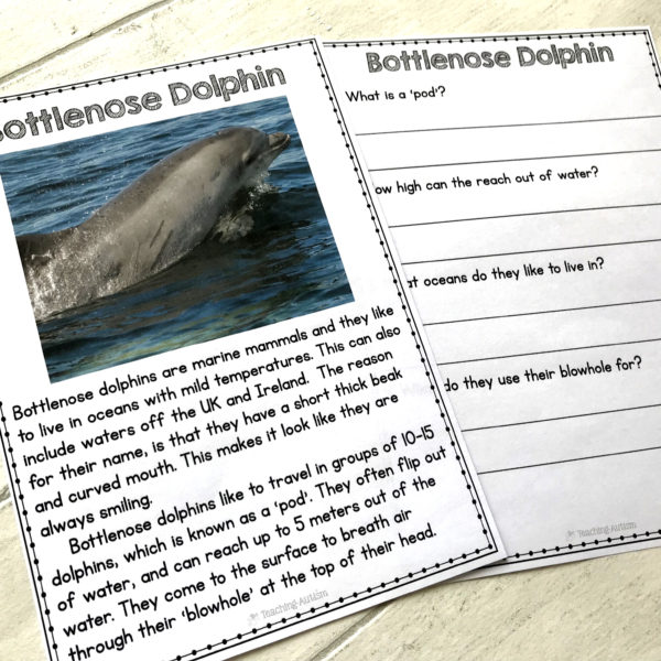 Animal Facts Reading Comprehension Worksheets - Teaching Autism