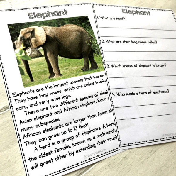 Animal Facts Comprehension Worksheets