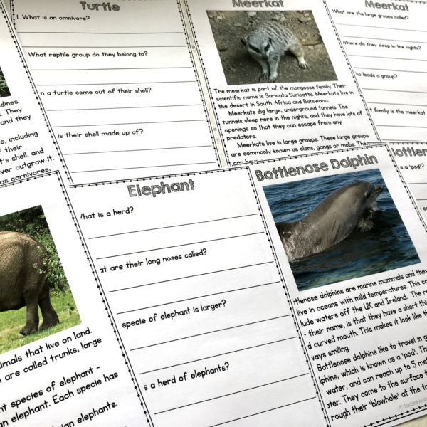 Animal Facts Comprehension Worksheets