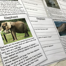 Animal Facts Reading Comprehension Worksheets - Teaching Autism