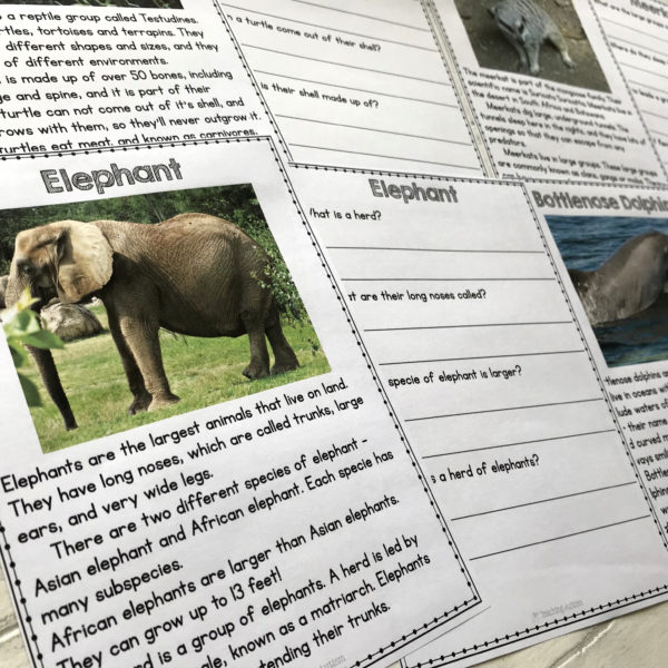 Animal Facts Comprehension Worksheets