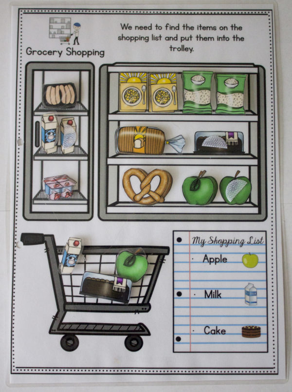 Life Skills Adapted Work Book