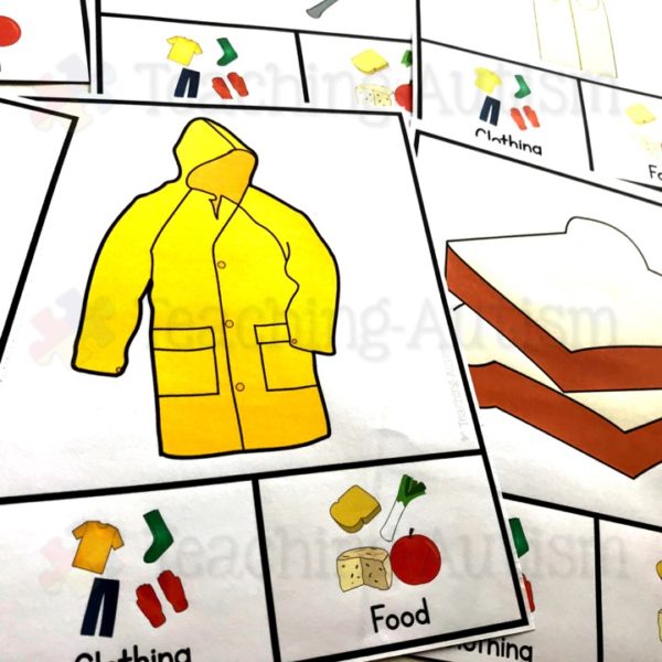 Clothing v Food Sorting Task Cards