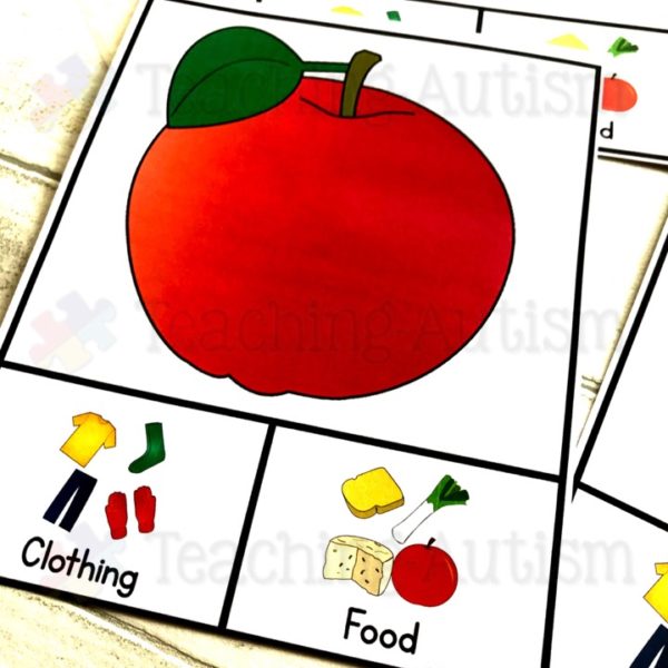 Clothing v Food Sorting Task Cards