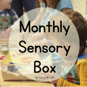 Monthly Mystery Sensory Box