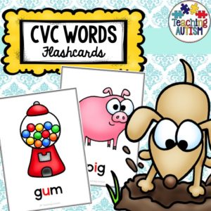 CVC Word Flashcards