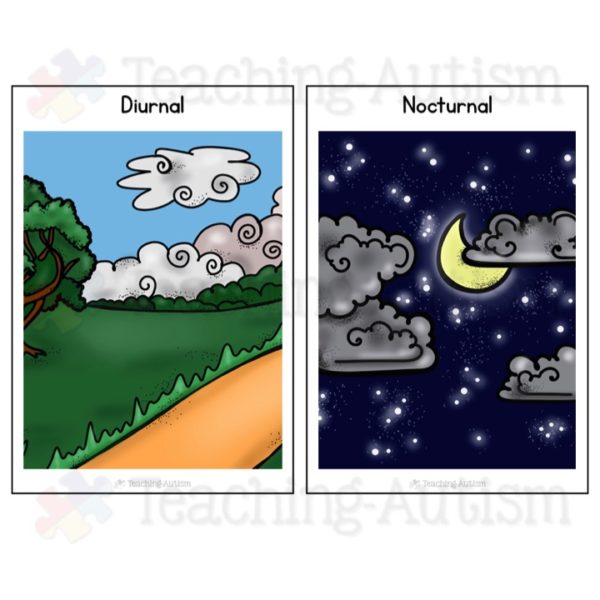 day-and-night-animal-sorting-diurnal-and-nocturnal-teaching-autism