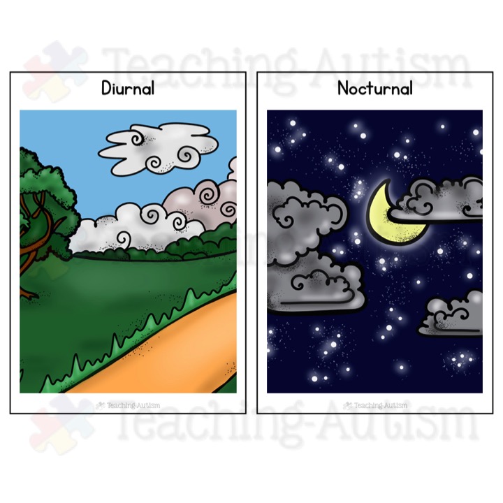Day and Night Animal Sorting, Diurnal and Nocturnal - Teaching Autism