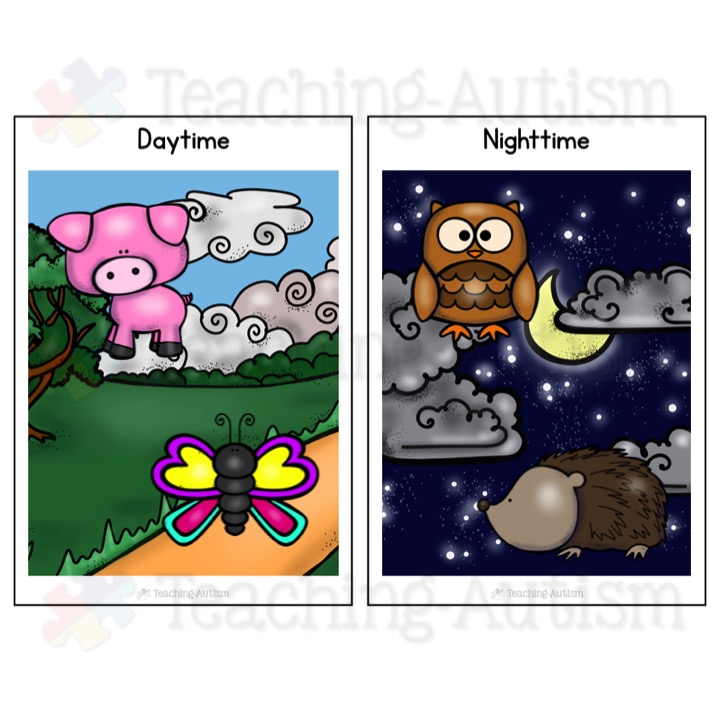 day-and-night-animal-sorting-diurnal-and-nocturnal-teaching-autism