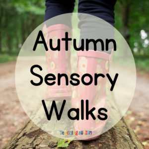 Going for an Autumn Sensory Walk Blog Post