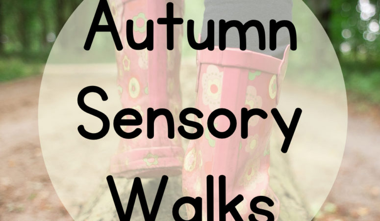 Autumn Sensory Walks