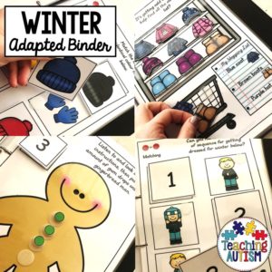 Winter Adapted Work Binder
