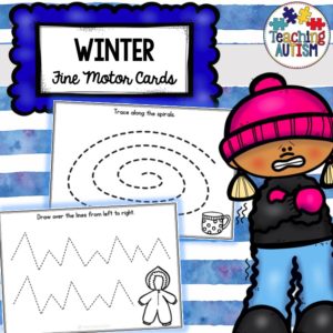 Winter Fine Motor Skill Task Cards